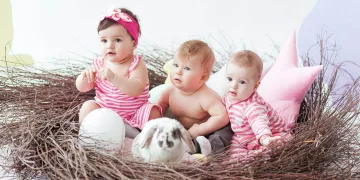 Shein Free Toys